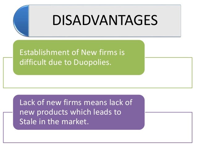 problems with duopoly duopoly implications